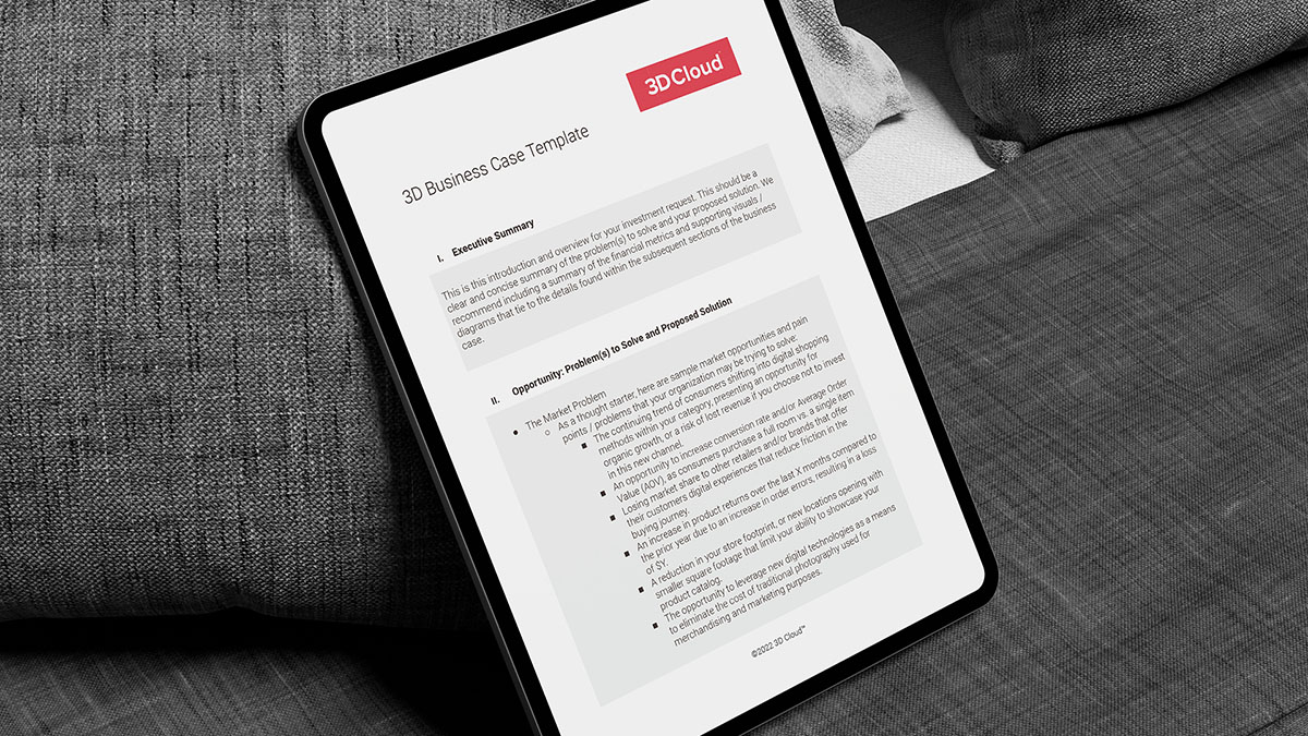 How to Build a 3D Project Business Case