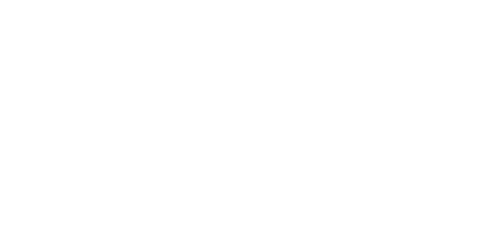 dfs logo